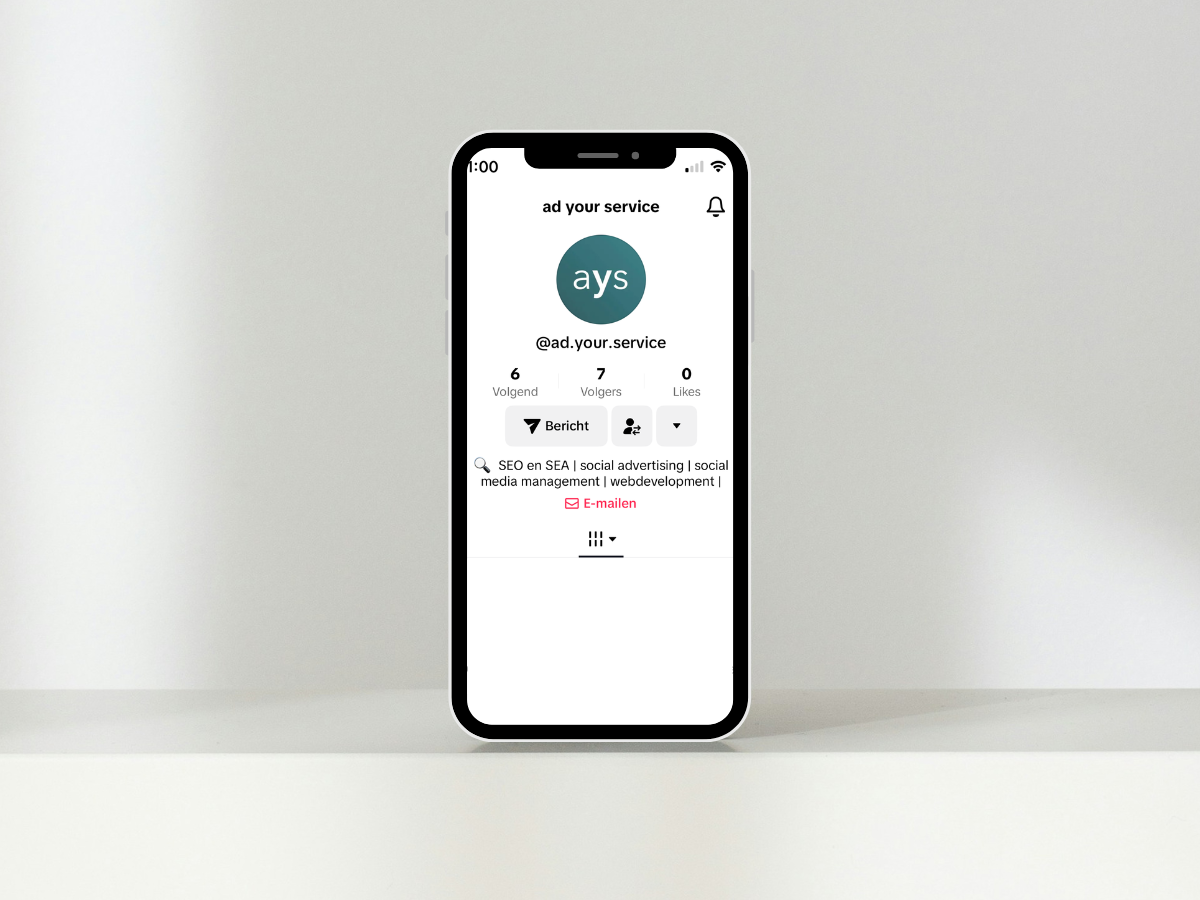 Belangrijkste keyword in de TikTok biografie van ad your service